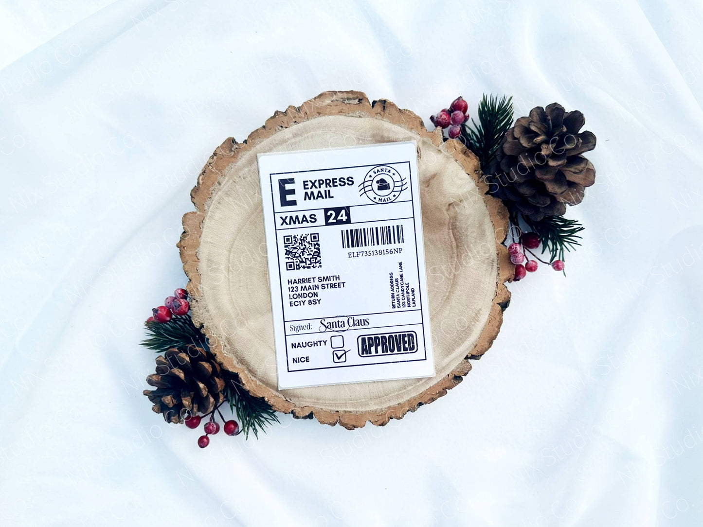 Santa Claus Shipping Label